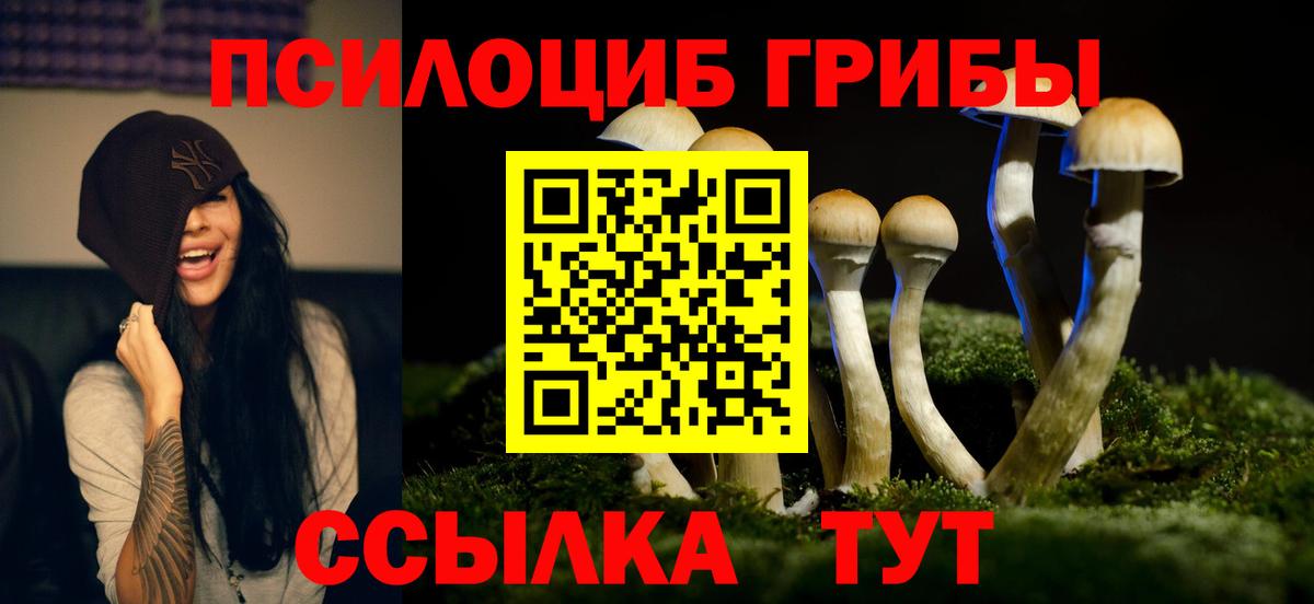 Новозыбков  Галлюциногенные грибы GOLDEN TEACHER  Вход с VPN  Псилоцибиновые грибы мухоморы 