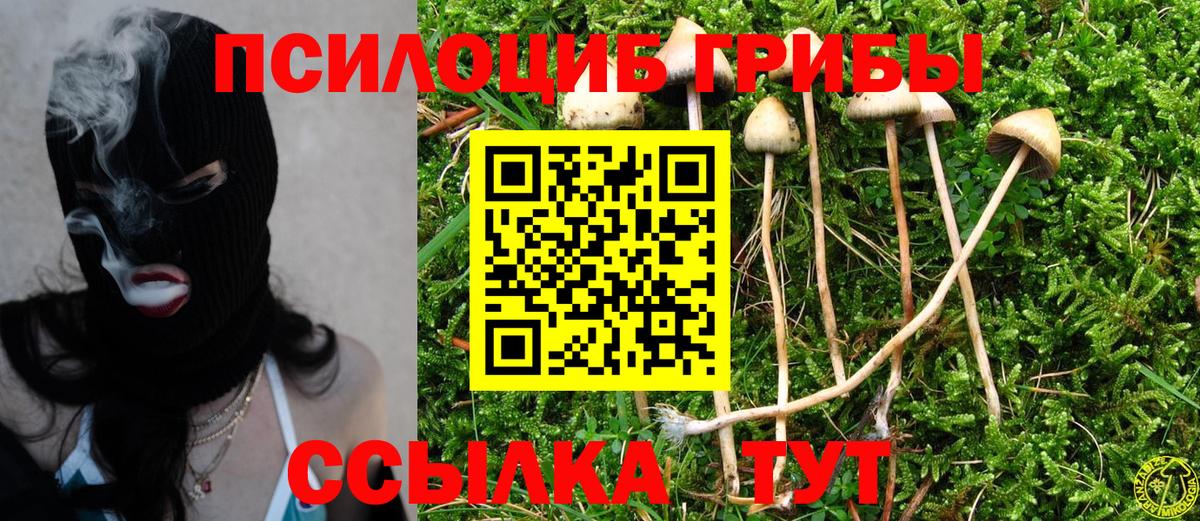 Псилоцибиновые грибы Magic Shrooms Новозыбков